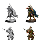 WZK 73539 Elf Rogue