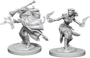 WZK  Tiefling  Warlock