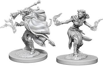 WZK  Tiefling  Warlock