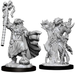 WZK Dragonborn Sorcerer