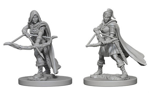WZK 72636 Female Human Ranger