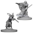 WZK 72641 Male Elf Druid