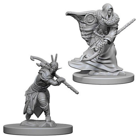 WZK 72641 Male Elf Druid