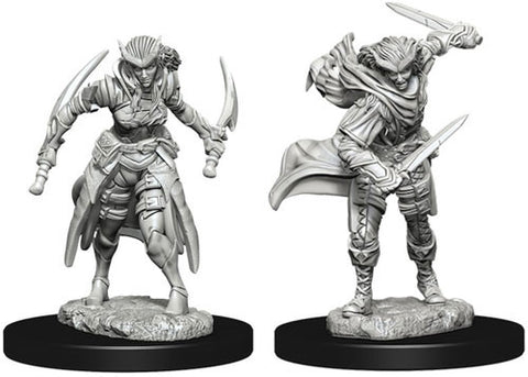 WZK 73339 Tiefling Rogue