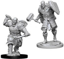 WZK 73541 Male Goliath Fighter