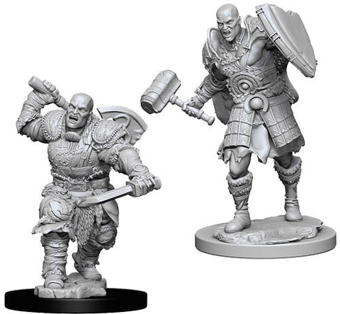 WZK 73541 Male Goliath Fighter