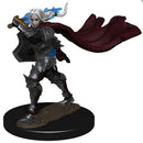 WZK 77508 Premium Female Elf Champion