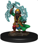 WZK 77510 Premium Male Gnome Sorcerer