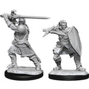 WZK 90220 Human Male Paladin