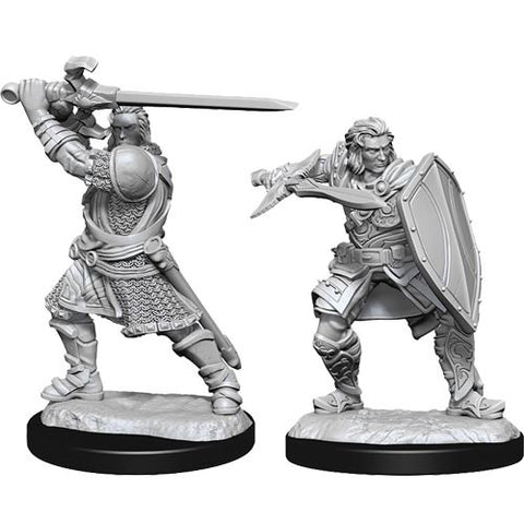 WZK 90220 Human Male Paladin