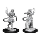 D&D Nolzur's Marvelous Unpainted Minis: Tiefling Sorcerer
