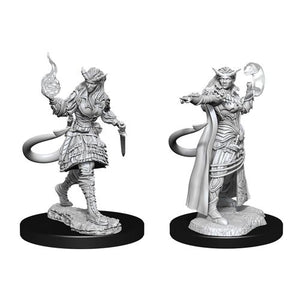 D&D Nolzur's Marvelous Unpainted Minis: Tiefling Sorcerer