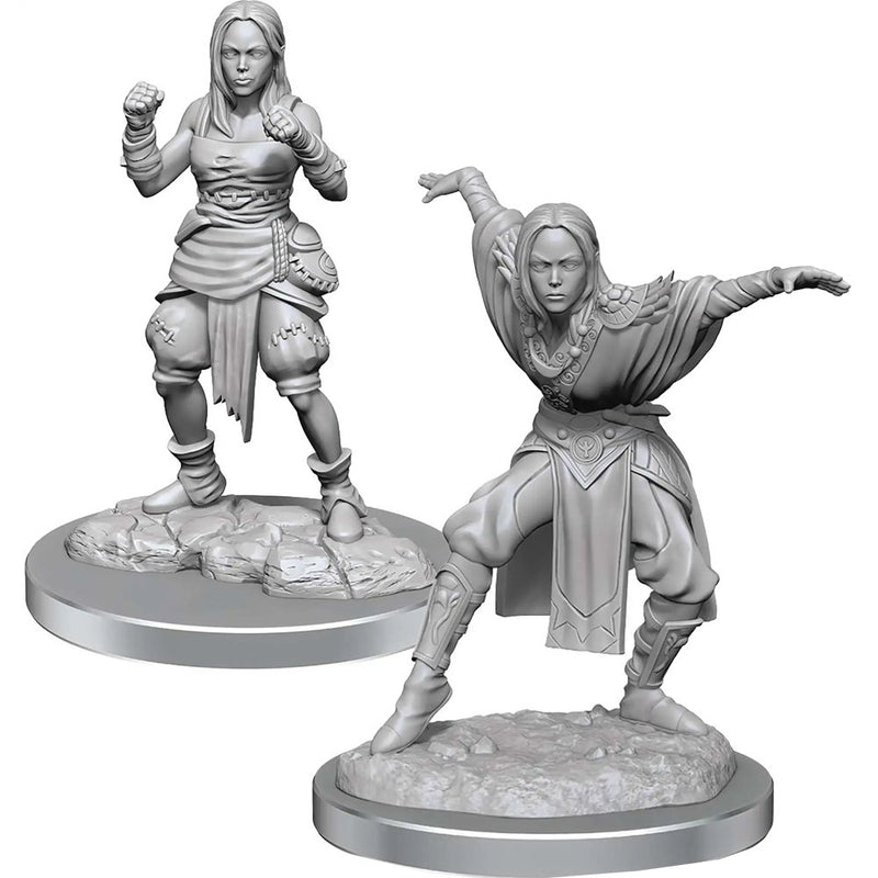 Pathfinder Battles Deep Cuts Unpainted Minis: W21 Female Half-Elf Monk WZK90652