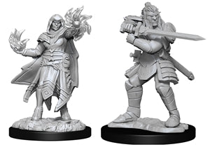 WZK 90310 Hobgoblin Fighter Male and Wizard Female