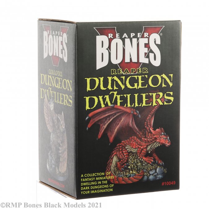 RPR 10049 - Boxed Set - Bones Dungeon Dwellers