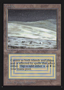 Tundra [Collectors’ Edition]