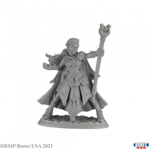 RPR 30008 Alaedril Starbloom, Elf Wizard