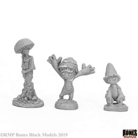 RPR 44056 Fungoids (3)