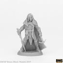 RPR 44072 Dark Elf Male Warrior