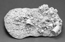 RPR 74026 Treasure Hoard Vignette Base