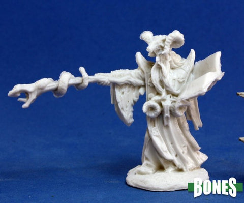 RPR 77174 P Leisynn, Mercenary Mage Human Male Wizard