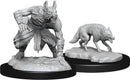 WZK 90244 Jackalwere & Jackal