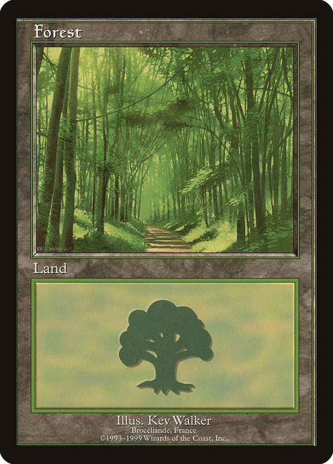 Forest (6) [European Land Program]