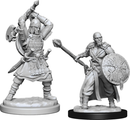 WZK 90138 Human Barbarian Male