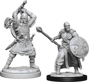 WZK 90138 Human Barbarian Male