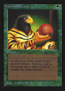 Natural Selection [Collectors’ Edition]