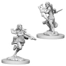 WZK 73204 Air Genasi Female Rogue