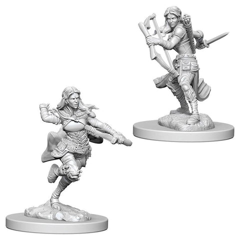 WZK 73204 Air Genasi Female Rogue