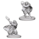 WZK 72621 Dwarf Female Wizard