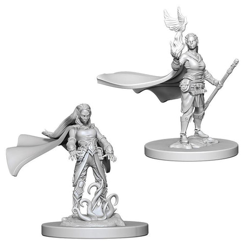 WZK 72642 Elf Female Druid