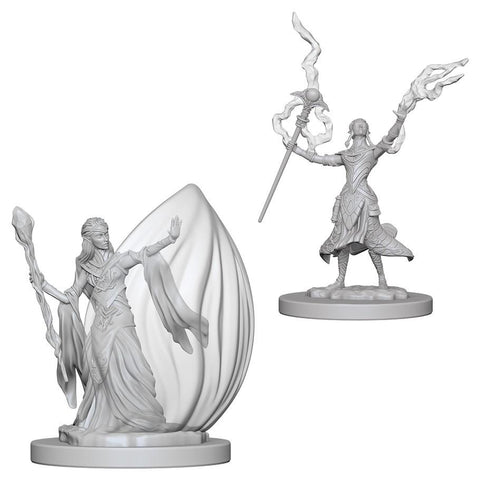 WZK 72623 Elf Female Wizard