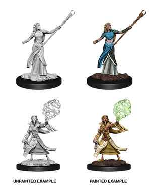 WZK 90054 Elf Sorcerer
