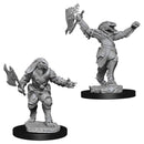 WZK 90001 Dragonborn Female Fighter