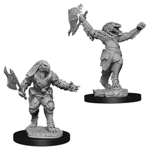 WZK 90001 Dragonborn Female Fighter