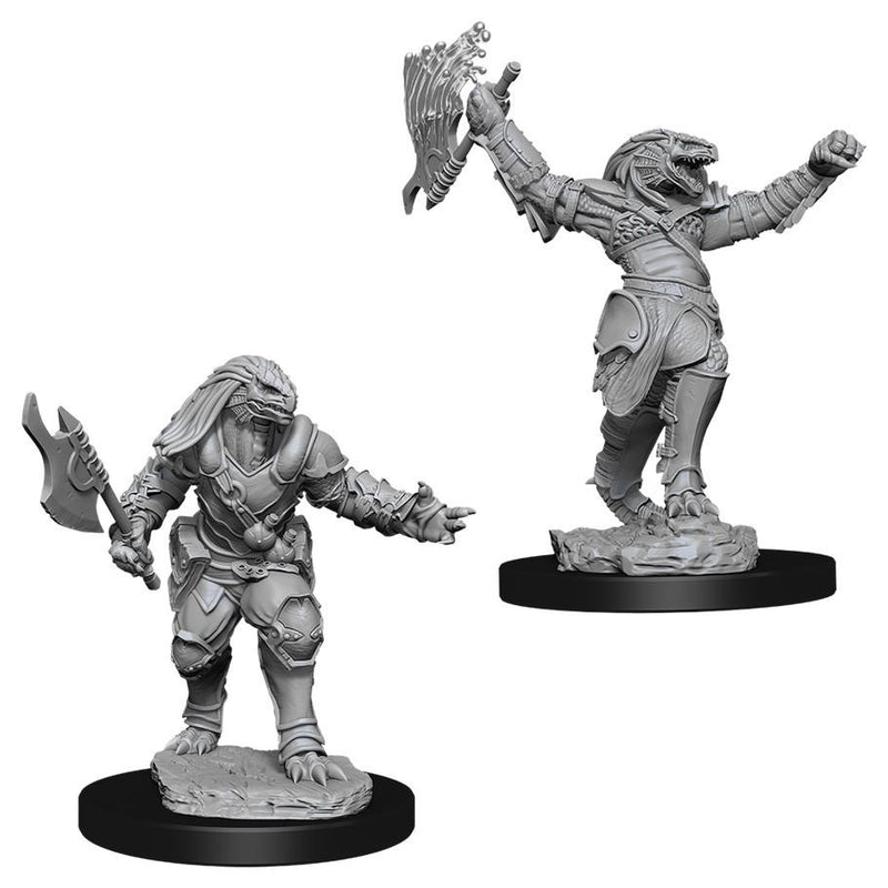 WZK 90001 Dragonborn Female Fighter