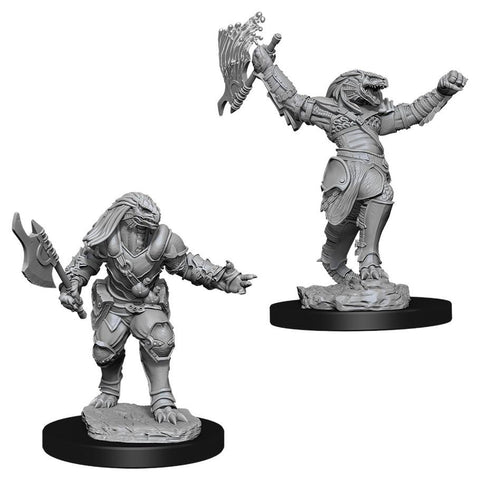 WZK 90001 Dragonborn Female Fighter