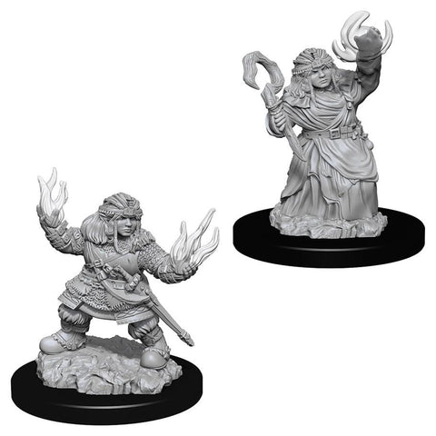 WZK 73543 Dwarf Female Summoner