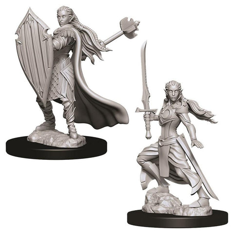 WZK 73706 Elf Female Paladin