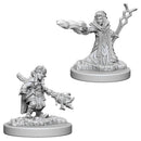 WZK 73383 Gnome Female Wizard