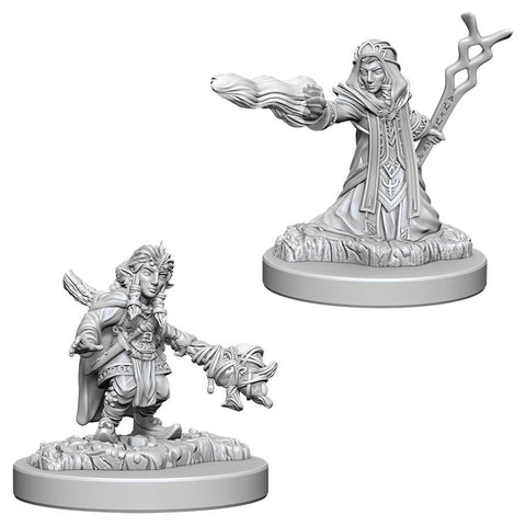 WZK 73383 Gnome Female Wizard