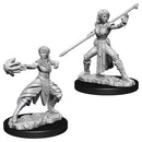 WZK 73839 Half-Elf Female Monk