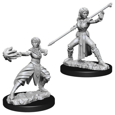 WZK 73839 Half-Elf Female Monk