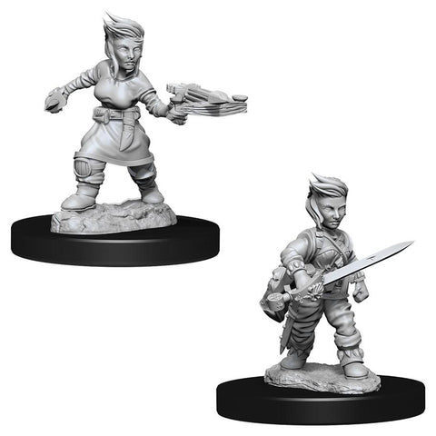 WZK 73695 Halfling Female Rogue