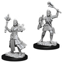 WZK 73671 Human Female Cleric