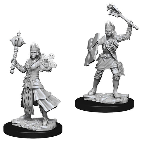 WZK 73671 Human Female Cleric