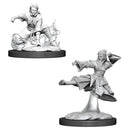 WZK 90008 Human Female Monk